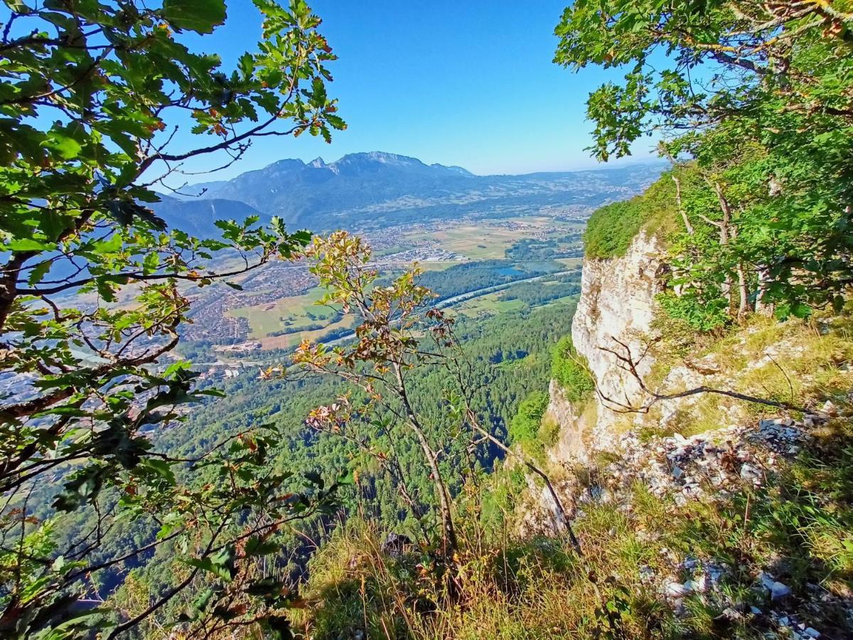 Apartment Le Calme A 5 Mn Du Centre - La Lisiere T2